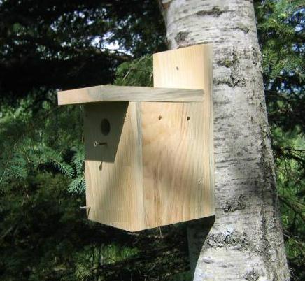 Simple Wooden Bird House Plans