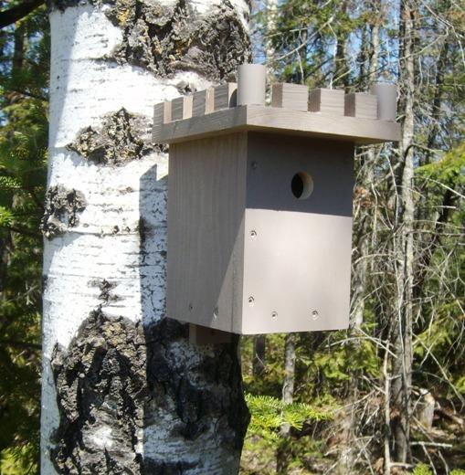 Free Simple Birdhouse Plans How To, Bird House Plans Free